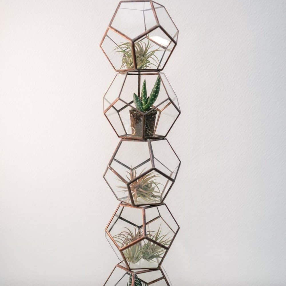 Glass Terrarium Gift Set