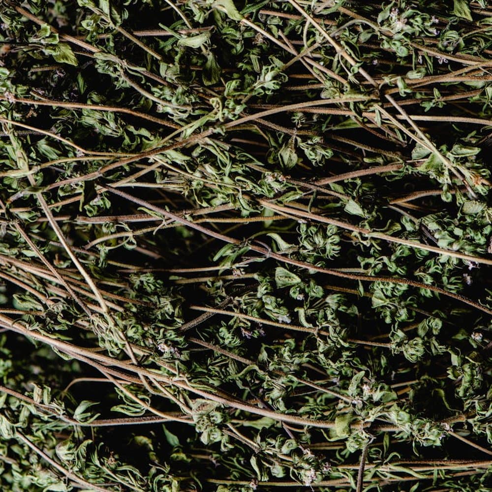 Thyme